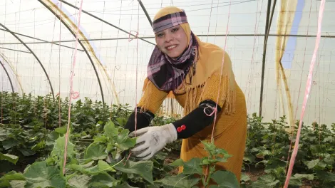 iraq-agriculture-csr-project-1.jpg